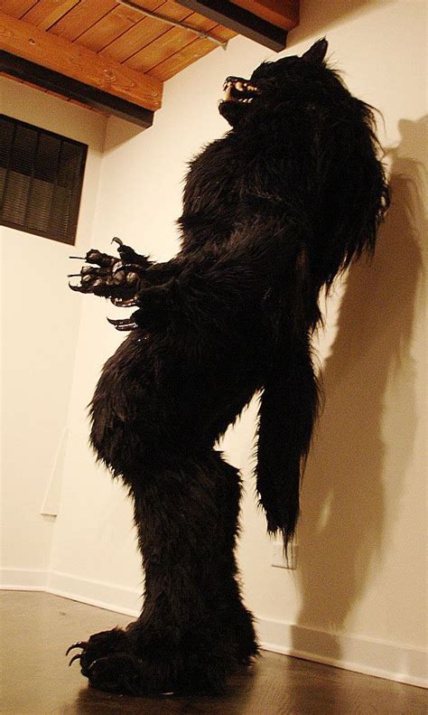 wolf costume|Wolf Customs LLC